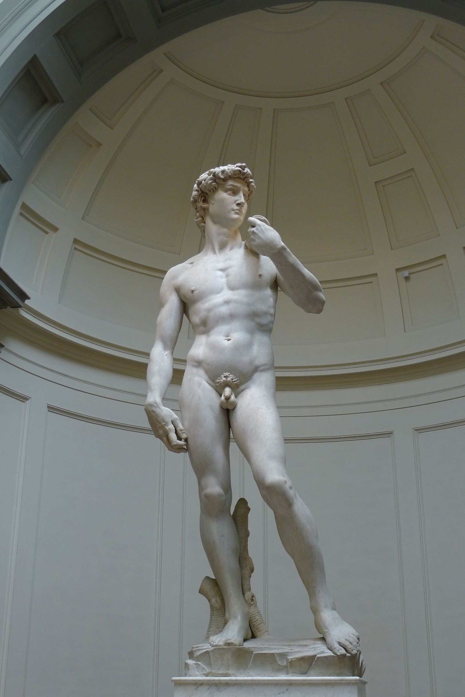 David (Michelangelo) Jigsaw Puzzle reference image